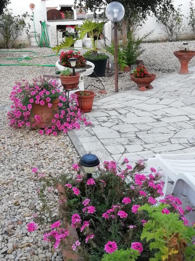 B&B Villa Claudia Анцио Экстерьер фото